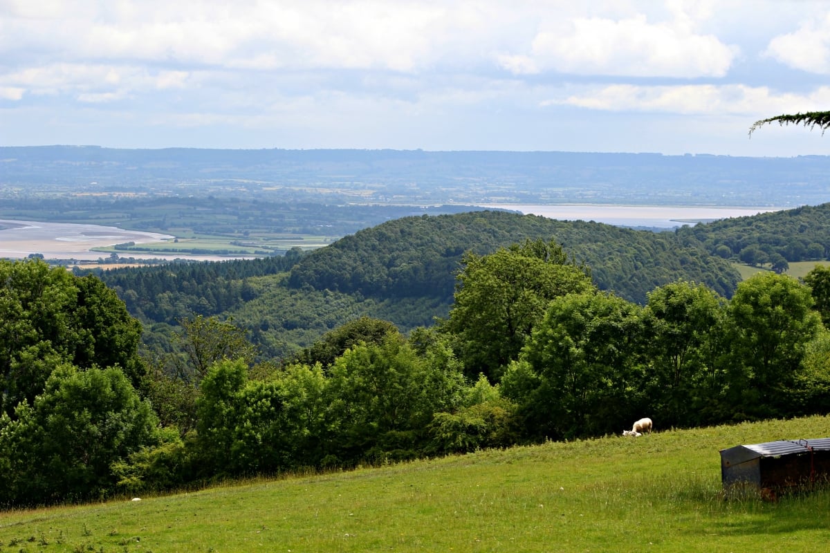 The Wilderness Centre - just one of the views from the main building